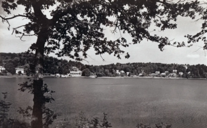 Svartvit bild av en sjö med hus på andra sidan, trädgrenar i förgrunden.