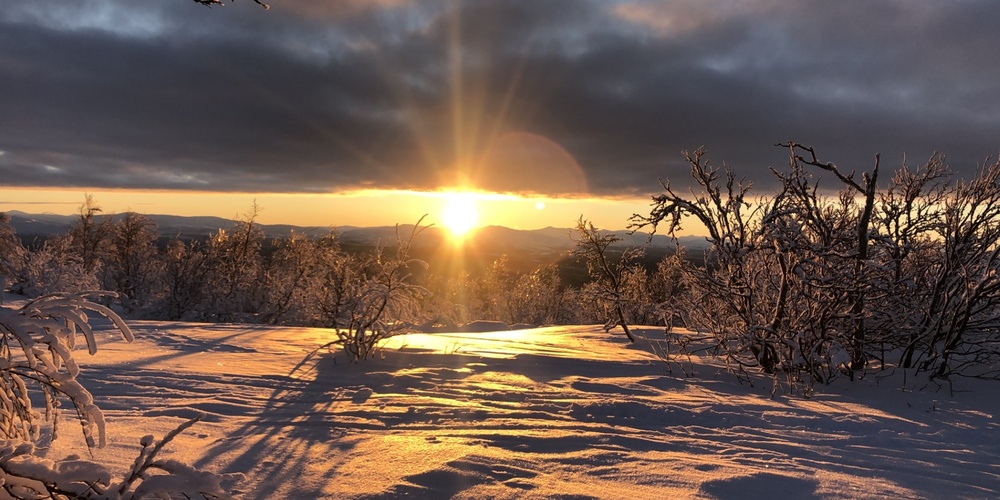 Solnedgång över ett snötäckt landskap med träd och långa skuggor under en dramatisk himmel.