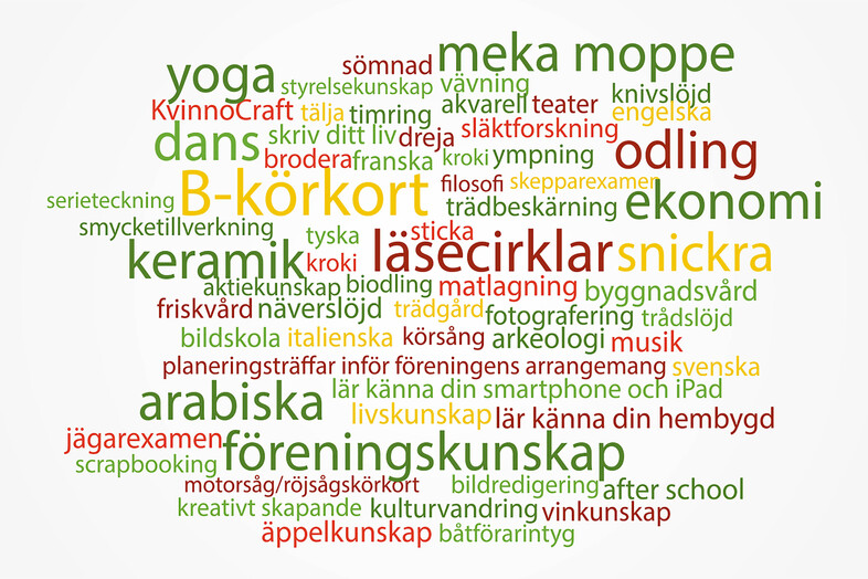 Ordmoln med olika fritidsaktiviteter och kunskapsämnen på svenska, som B-körkort, arabiska och keramik.