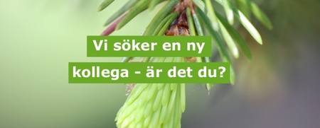 granskott text ny kollega