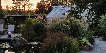 Trädgård med grusgång, damm och växter i solnedgång, hus i bakgrunden.