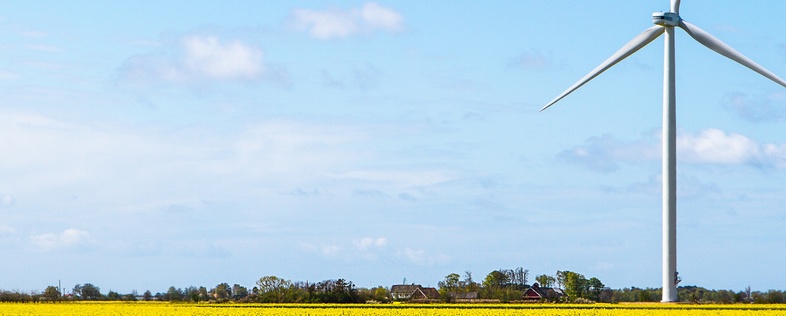 Ett vindkraftverk står på en gul blommande åker under en blå himmel med några moln.