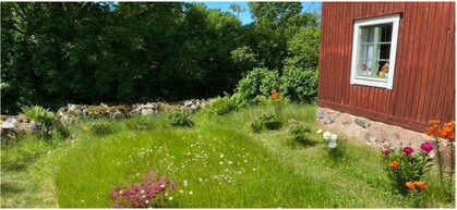 En solig trädgård med blommor, gräs och ett rött hus med vitt fönster. Stenmur och grönska i bakgrunden.