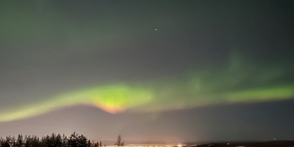Norrsken lyser upp natthimlen över en stad med snötäckta träd i förgrunden.