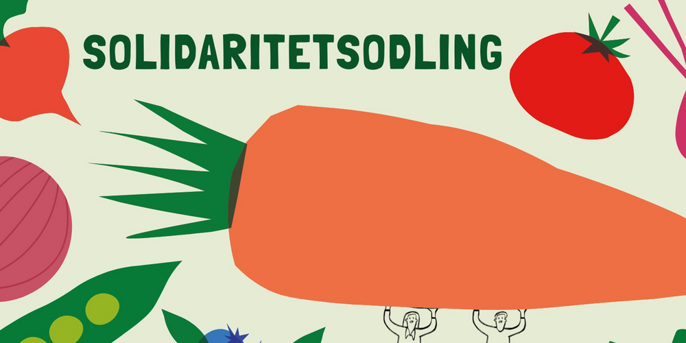 Illustration med stora grönsaker och två personer som bär en jättemorot. Texten 'Solidaritetsodling' syns överst.