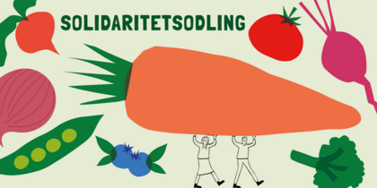 Illustration med stora grönsaker, två personer bär en jättemorot och texten 'Solidaritetsodling' högst upp.