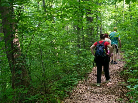 Två personer vandrar på en skogsstig omgivna av grönska och träd.