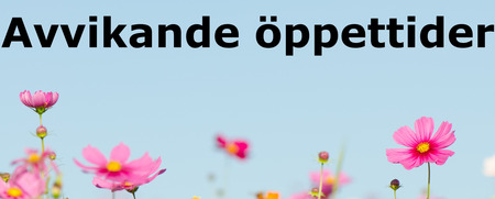 Texten 'Avvikande öppettider' mot en ljusblå himmel med rosa blommor i förgrunden.