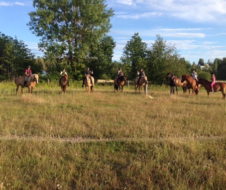 En grupp människor rider på hästar på en äng med träd i bakgrunden under en klar himmel.