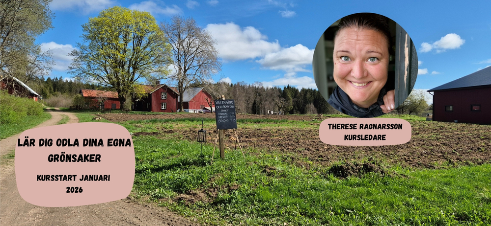 Lantlig gård med odlingsmark, röda hus och skylt om kurs i grönsaksodling med kursstart januari 2026.