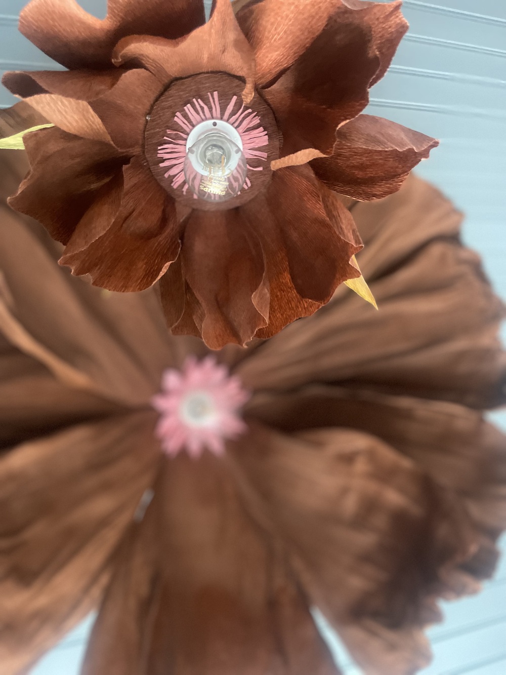 Två stora konstgjorda blommor i bruna nyanser med rosa mitt, fotograferade underifrån.