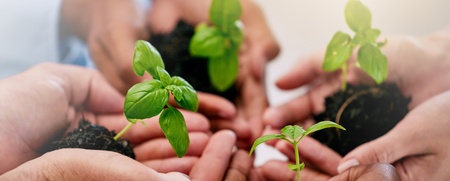 Flera händer håller små plantor med jord, symboliserar samarbete och hållbarhet.