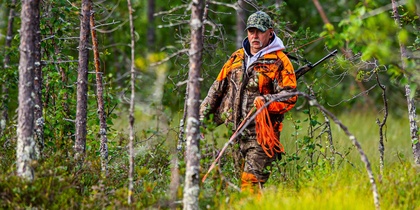 En jägare i orange och kamouflagekläder går med gevär genom en grön skog.