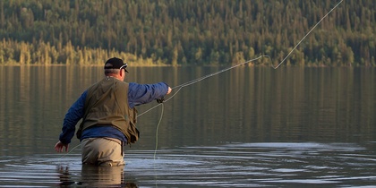 En person står i vattnet och flugfiskar vid en sjö med skogsklädda berg i bakgrunden.