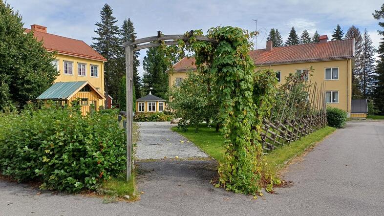 Två gula hus med röda tak, en grönskande trädgård och en träbåge täckt av klätterväxter i förgrunden.