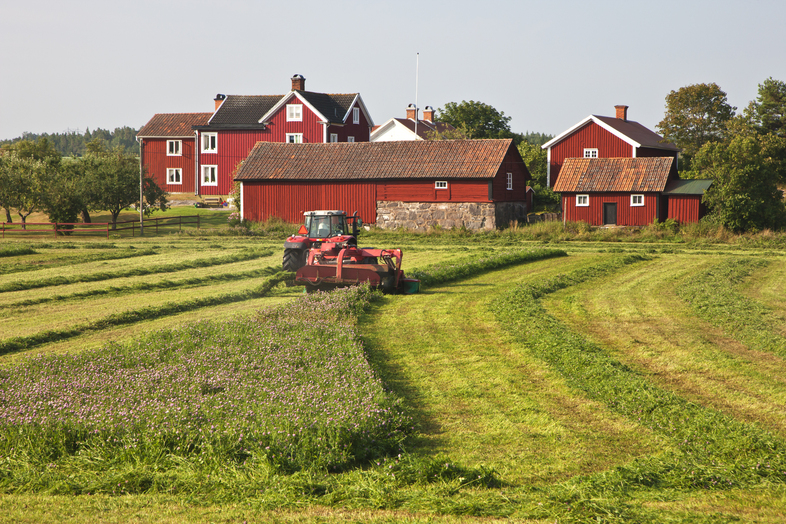 Traktor skördar på åker framför bondgård med röda hus.