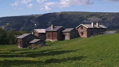 Flera gamla timmerhus på en grön äng med skogsklädda berg i bakgrunden under blå himmel.