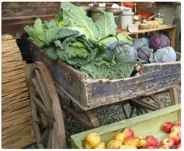 En gammal vagn i trä fylld med kål bakom en grön trälåda med äpplen.