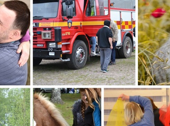 Ett kollage med bilder av människor som deltar i olika aktiviteter, en brandbil, en kanin och en häst.