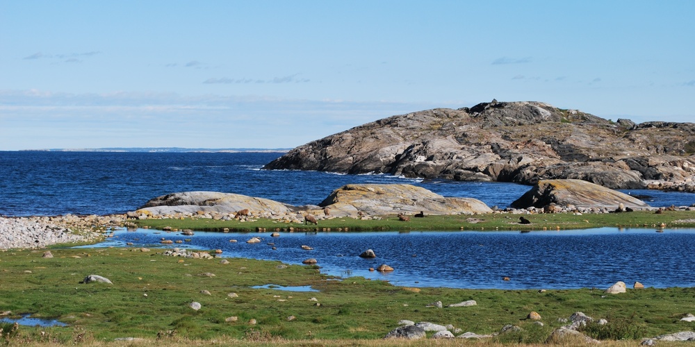 Kustlandskap med klippor, gräs, små sjöar och hav under en klarblå himmel.