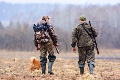 Två jägare i kamouflagekläder och en hund går på ett fält med gevär på ryggen, ryggen mot kameran.