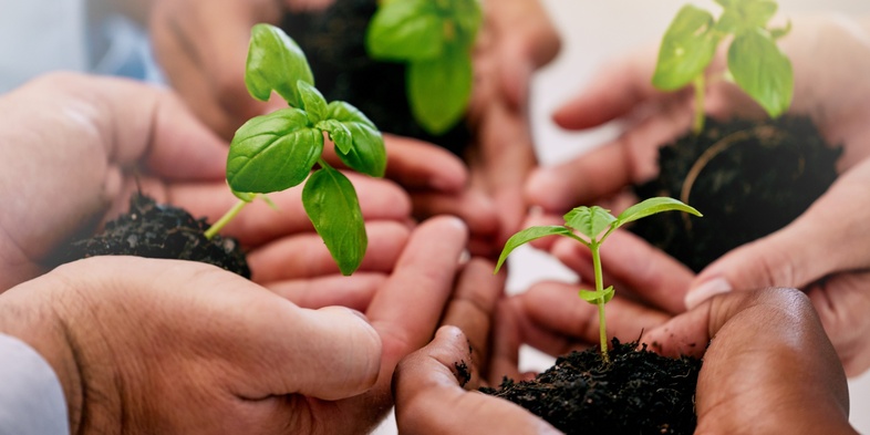 Flera händer håller små plantor med jord, symboliserar samarbete och hållbarhet.