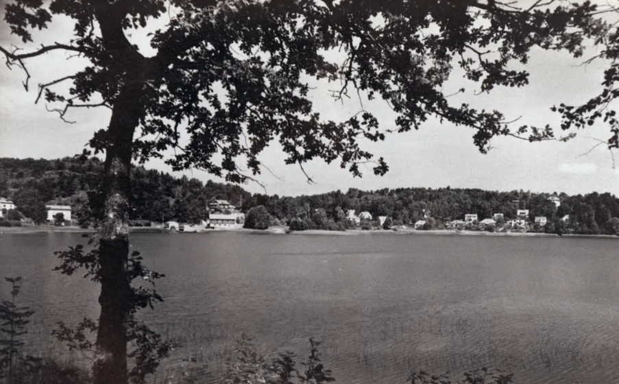 Svartvit bild av en sjö med hus på andra sidan, trädgrenar i förgrunden.