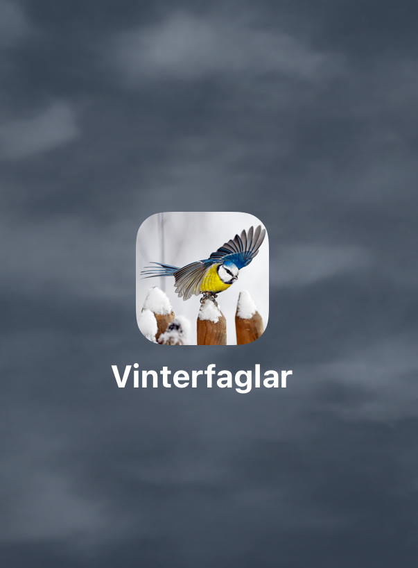 Appikon med en blåmes som flyger över snötäckta trästolpar och texten 'Vinterfaglar' under.