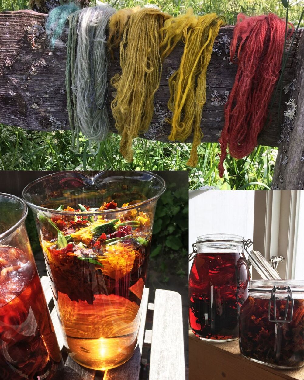 Färgat garn hänger på en trästock, med burkar och kannor fyllda med växtfärgningsbad nedanför.