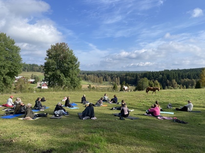En grupp människor sitter på yogamattor utomhus på en äng med hästar i bakgrunden och skog i fjärran.