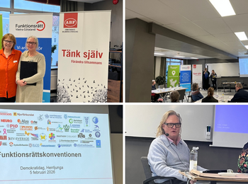 Fyra bilder från en konferens om funktionsrätt med talare, deltagare och presentationer i ett mötesrum.