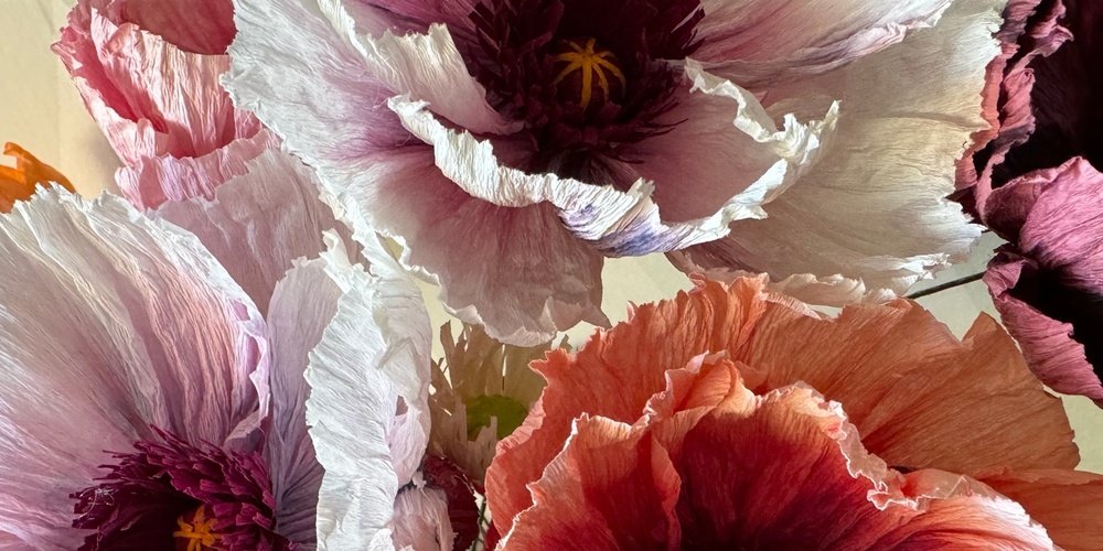 Närbild av stora, färgglada pappersblommor i olika nyanser av rosa, lila och orange.