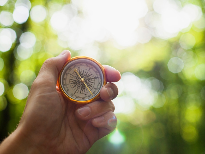 En hand håller en kompass mot en suddig, grön skogsbakgrund med solljus.