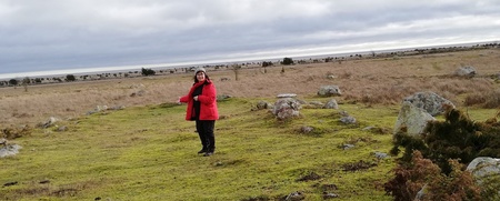 Person i röd jacka står på en grön äng med stenar, under en molnig himmel.