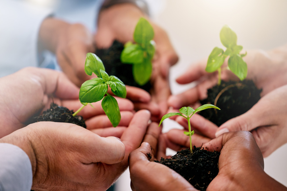 Flera händer håller små plantor med jord, symboliserar samarbete och hållbarhet.