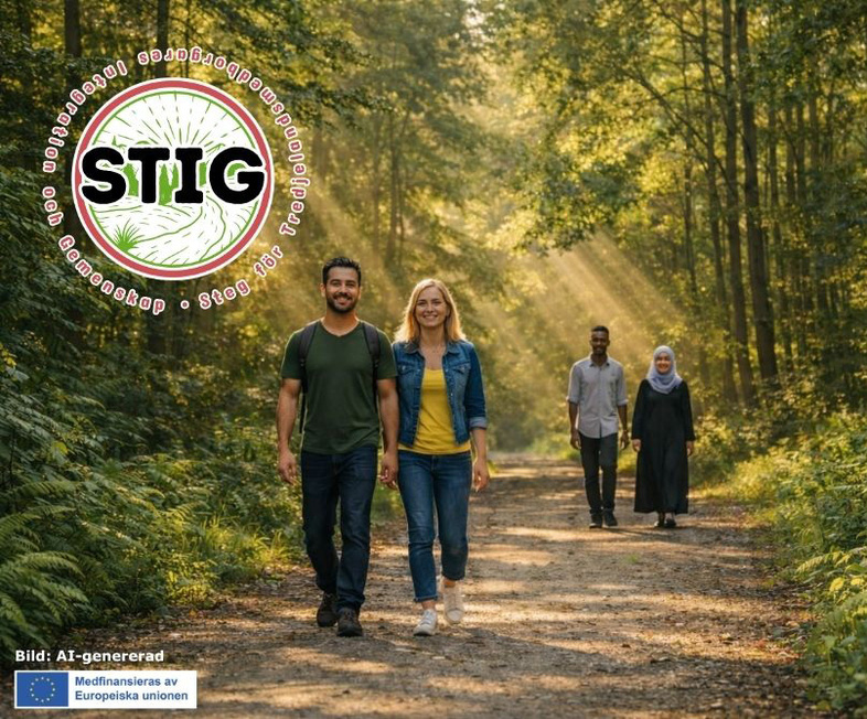 Fyra personer promenerar på en solbelyst skogsstig, två fram och två längre bak.
