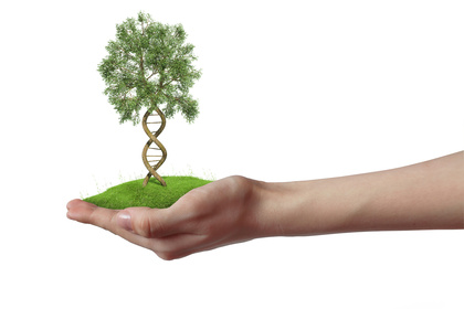 En hand håller en grästuva med ett träd vars stam är formad som en DNA-spiral.