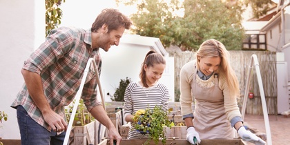 Tre personer arbetar tillsammans i en upphöjd trädgårdslåda i en solig trädgård.