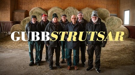 Sju äldre män står framför höbalar i en lada med texten 'Gubbstrutsar' över bilden.