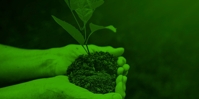 Två händer håller en liten planta med jord mot en grön bakgrund.