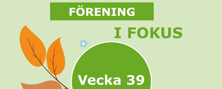 Grön och ljusgrön affisch med texten 'Förening i fokus, Vecka 39' och illustrationer av höstlöv och blommor.
