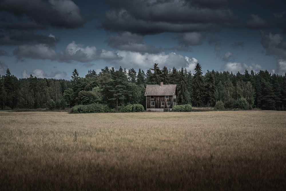 Ett ensamt trähus står på en äng framför en mörk skog under dramatiska moln.
