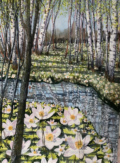Akvarellmålning av en björkskog med vita blommor och en liten bäck i förgrunden.