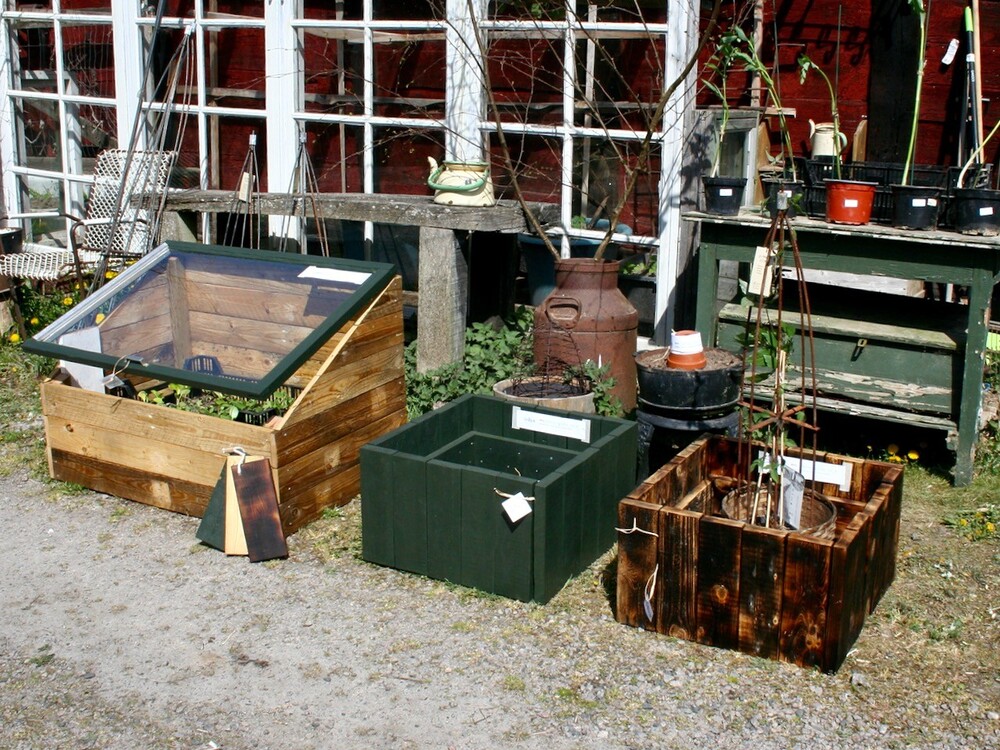 Flera odlingslådor och växter står utomhus framför ett växthus med gamla fönster och trädgårdsbord.