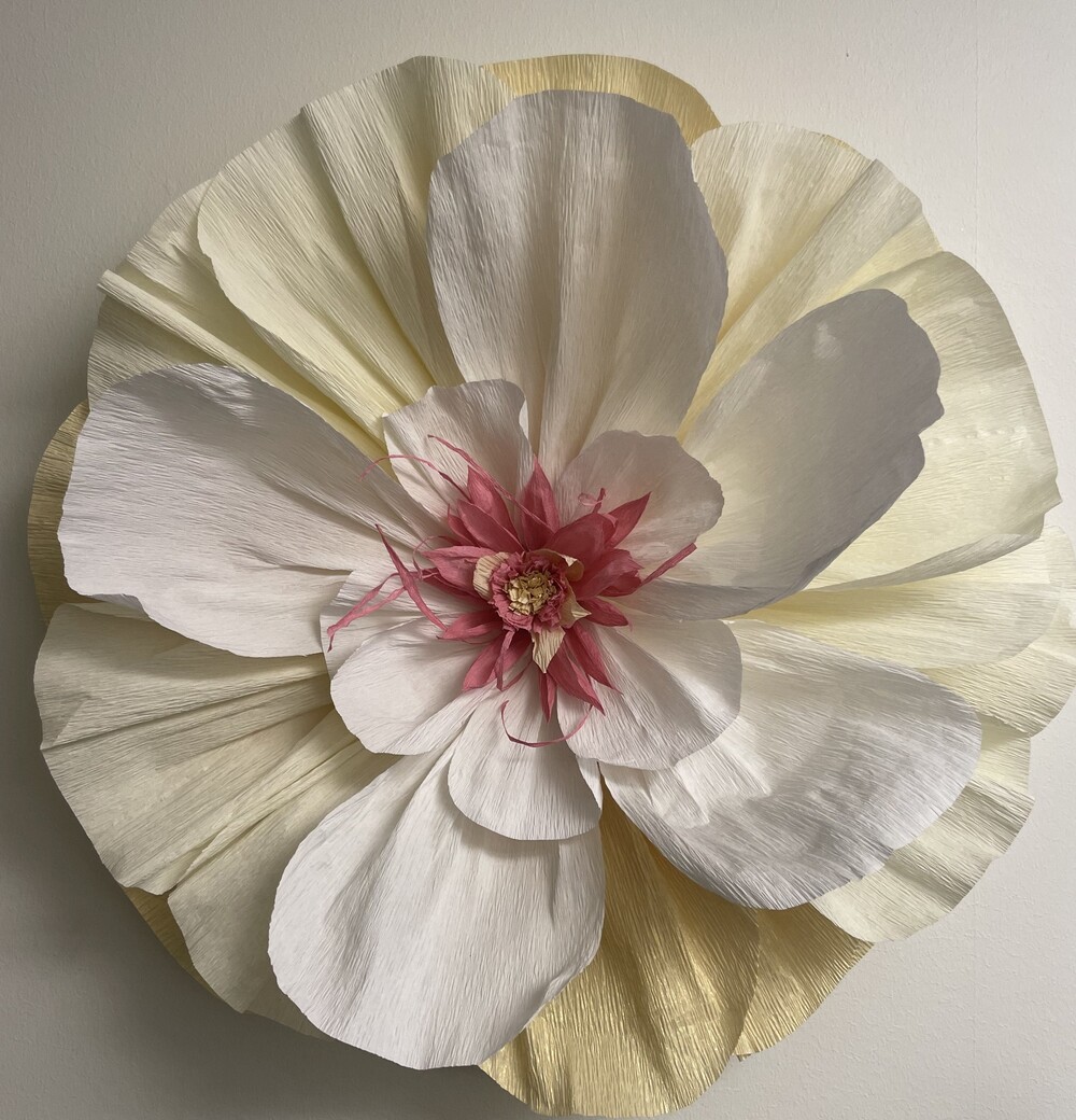 En stor, konstgjord blomma av papper i vitt, gult och rosa mot en ljus vägg.