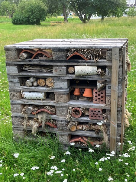 Ett insektshotell byggt av lastpallar, fyllda med tegel, rör och naturmaterial, står på en gräsmatta med blommor.