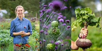 Tre bilder: kvinna i trädgård, närbild på blommor och kronärtskocka, hand som håller en rödbeta.