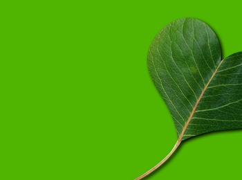 Ett grönt blad format som ett hjärta mot en enfärgad grön bakgrund.