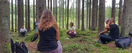 En grupp människor sitter utspridda i en grön skog och deltar i en utomhusaktivitet.