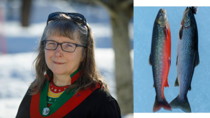 Föreläsning - Lena Maria Nilsson föreläser om samisk mat